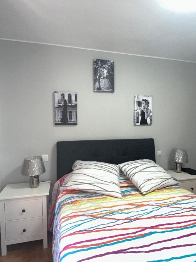 Apartamento Zaragoza Picarral エクステリア 写真